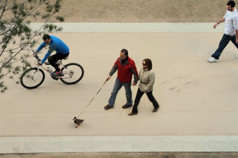 Park Life n110. Pepe Dominguez